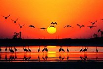 天鹅湖景区景点天气实景图