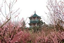 无锡梅园横山风景区景点天气实景图