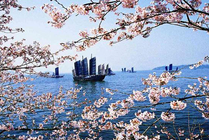 太湖鼋头渚风景区景点天气实景图