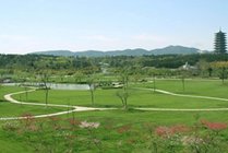 龙背山森林公园景点天气实景图