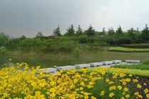 白塘生态植物园景点天气实景图
