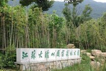 江苏大阳山国家森林公园景点天气实景图
