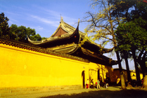 西园戒幢律寺景点天气实景图