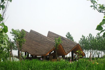 扬州凤凰岛生态旅游区景点天气实景图
