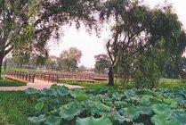 茱萸湾风景区景点天气实景图