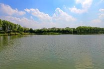 大纵湖旅游度假区景点天气实景图