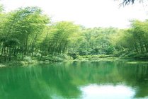 南山竹海景点天气实景图