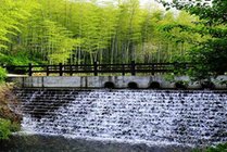 天目湖御水温泉景点天气实景图