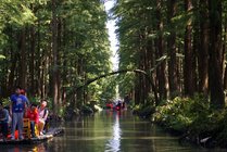 李中水上森林公园景点天气实景图
