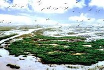 洪泽湖湿地国家级自然保护区景点天气实景图
