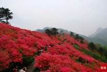 龟峰山风景区景点天气实景图