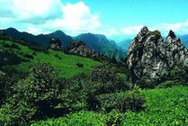 天燕原始生态旅游区景点天气实景图