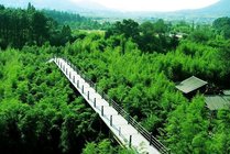安吉竹博园景点天气实景图