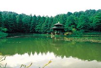 寨寮溪风景区景点天气实景图