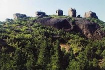 玉苍山国家森林公园景点天气实景图