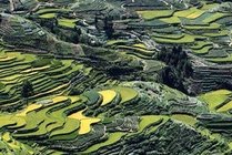南尖岩风景区景点天气实景图