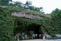 合肥野生动物园景点天气实景图