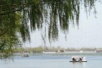 颖州西湖风景名胜区景点天气实景图