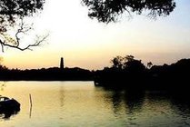 阜阳生态乐园景点天气实景图
