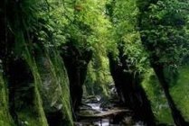 石门峡景点天气实景图