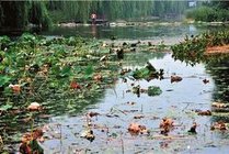 太平湖景点天气实景图