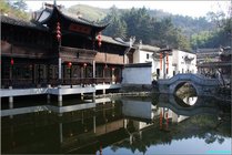 紫园景点天气实景图