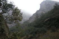 鄣山大峡谷风景区景点天气实景图