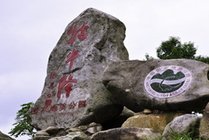 牯牛降景点天气实景图