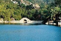 厦门园林植物园景点天气实景图