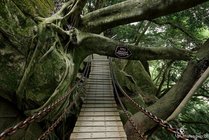 清源山风景名胜区景点天气实景图