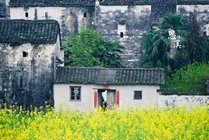思溪延村景区景点天气实景图