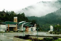 阳岭国家森林公园景点天气实景图