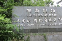 大围山国家森林公园景点天气实景图