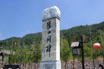 阳明山国家森林公园景点天气实景图
