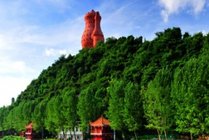 天下第一壶茶文化公园景点天气实景图