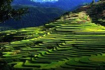 贵州紫林山国家森林公园景点天气实景图