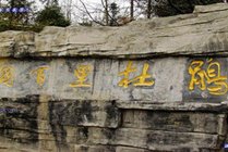 贵州百里杜鹃风景名胜区景点天气实景图