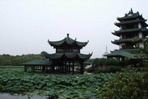 宝光桂湖文化旅游区景点天气实景图