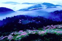 天台山国家重点风景名胜区景点天气实景图