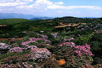 格萨拉生态旅游区景点天气实景图