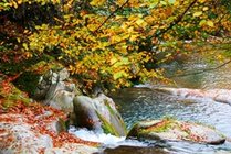 光雾山景点天气实景图