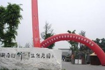 峨眉山竹叶青生态茗园景点天气实景图