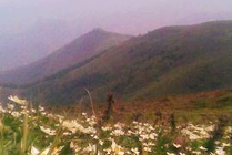 灵山风景区景点天气实景图