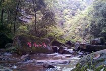 雅安碧峰峡旅游区景点天气实景图