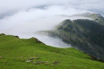 唐家河景点天气实景图