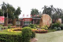 华南植物园景点天气实景图