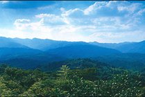南昆山景点天气实景图