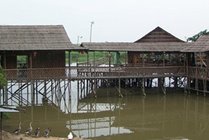 海上田园景点天气实景图