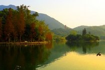 仙湖植物园景点天气实景图