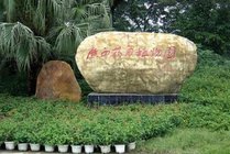 广西药用植物园景点天气实景图